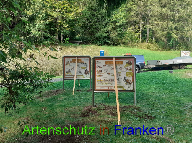 © Artenschutz in Franken® Bild zum Eintrag (1075295-160)