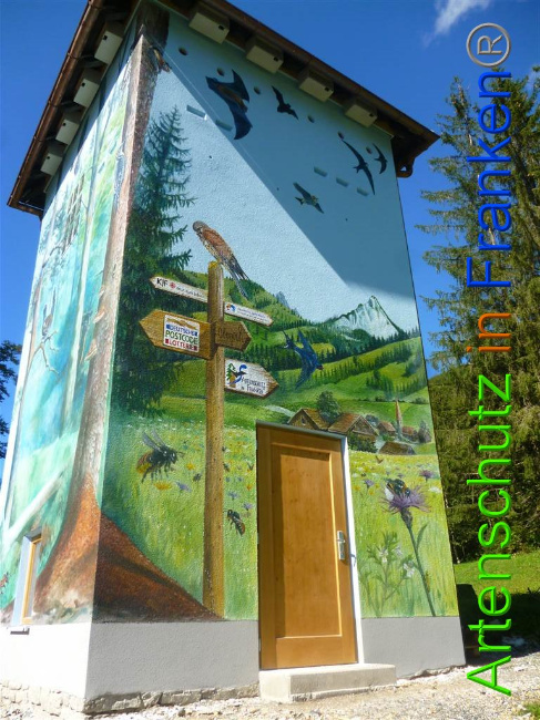 © Artenschutz in Franken® Bild zum Eintrag (1075299-160)