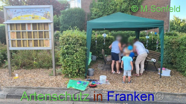 © Artenschutz in Franken® / Sonfeld Bild zum Eintrag (1075693-160)
