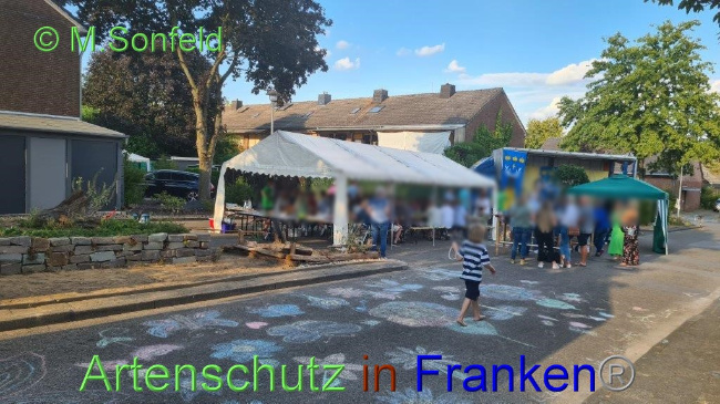© Artenschutz in Franken® / Sonfeld Bild zum Eintrag (1075694-160)