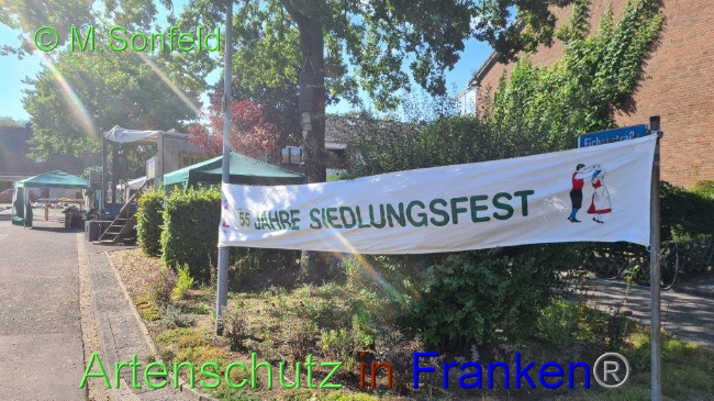 © Artenschutz in Franken® / Sonfeld Bild zum Eintrag (1075702-160)