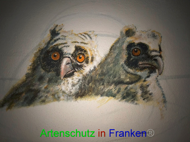 © Artenschutz in Franken® Bild zum Eintrag (1075838-160)