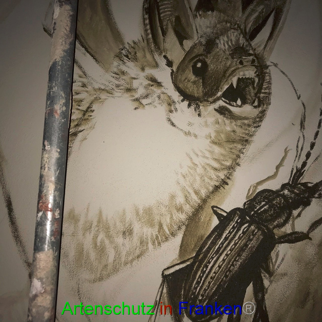 © Artenschutz in Franken® Bild zum Eintrag (1075841-160)