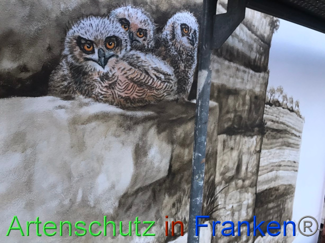 © Artenschutz in Franken® Bild zum Eintrag (1075883-160)