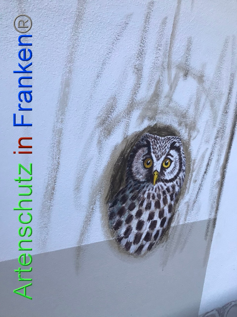 © Artenschutz in Franken® Bild zum Eintrag (1075884-160)