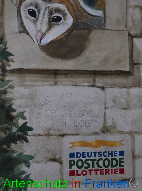 © Artenschutz in Franken® Bild zum Eintrag (1076173-160)