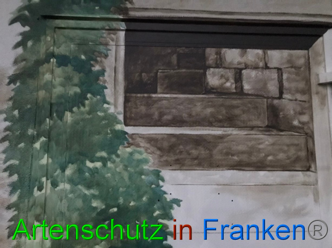 © Artenschutz in Franken® Bild zum Eintrag (1076176-160)