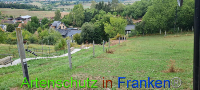 Bild zum Eintrag (1076246-160)