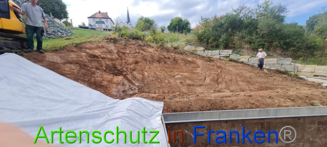 © Artenschutz in Franken® Bild zum Eintrag (1076253-160)
