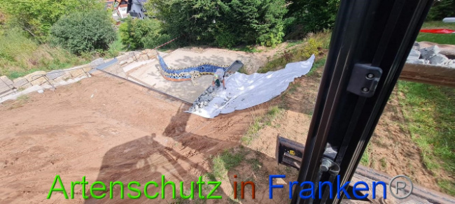 © Artenschutz in Franken® Bild zum Eintrag (1076254-160)