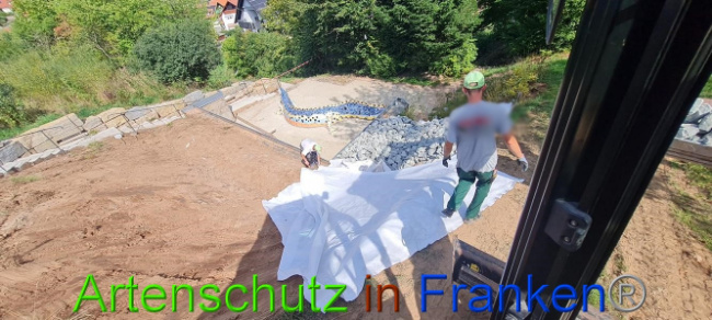 © Artenschutz in Franken® Bild zum Eintrag (1076255-160)