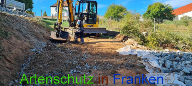 © Artenschutz in Franken® Bild zum Eintrag (1076260-160)