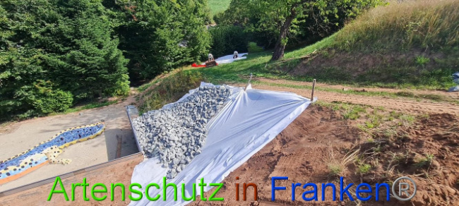© Artenschutz in Franken® Bild zum Eintrag (1076263-160)