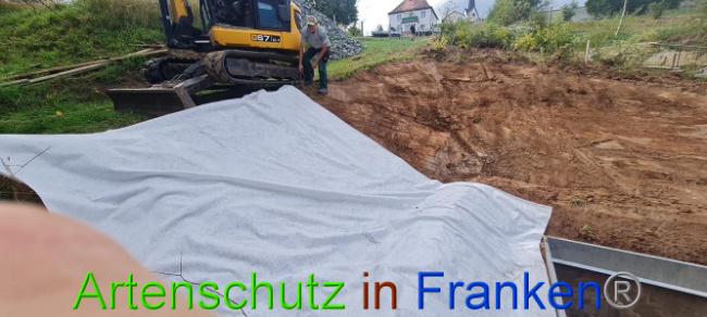 © Artenschutz in Franken® Bild zum Eintrag (1076268-160)