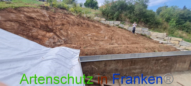 © Artenschutz in Franken® Bild zum Eintrag (1076269-160)