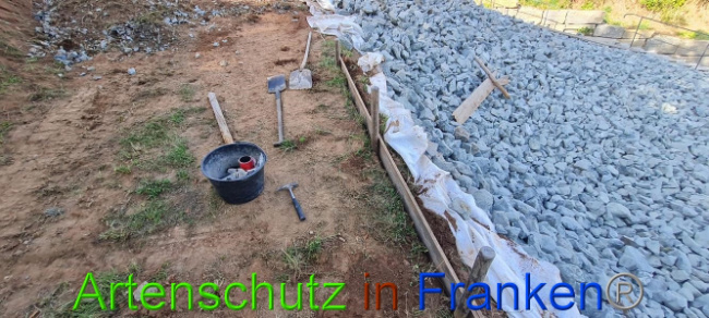© Artenschutz in Franken® Bild zum Eintrag (1076270-160)