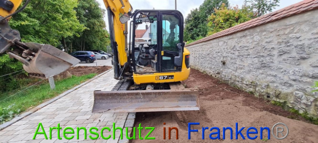 Bild zum Eintrag (1076302-160)