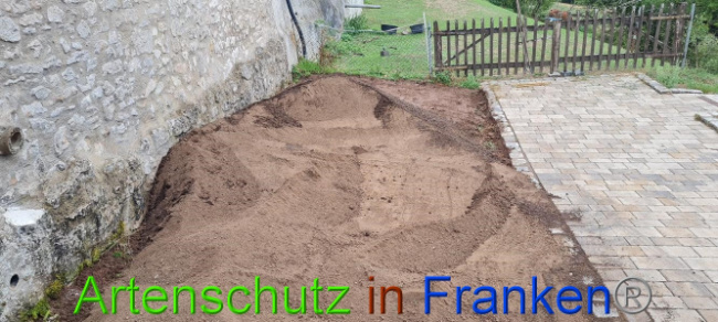 Bild zum Eintrag (1076304-160)