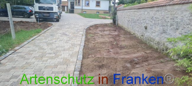 Bild zum Eintrag (1076305-160)