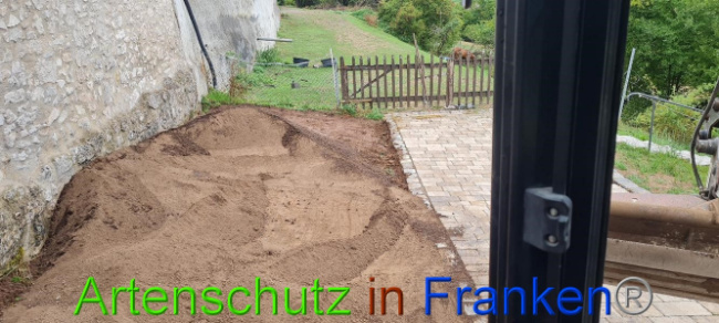 © Artenschutz in Franken® Bild zum Eintrag (1076310-160)