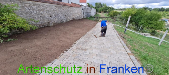 © Artenschutz in Franken® Bild zum Eintrag (1076311-160)