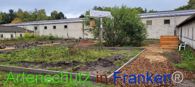 © Artenschutz in Franken® Bild zum Eintrag (1076507-160)