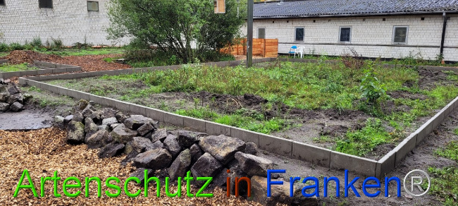 © Artenschutz in Franken® Bild zum Eintrag (1076508-160)