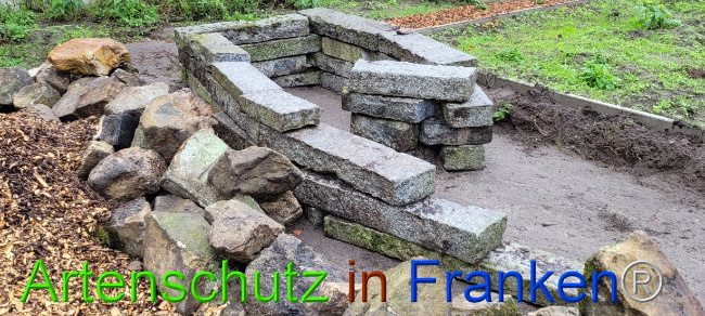 © Artenschutz in Franken® Bild zum Eintrag (1076517-160)