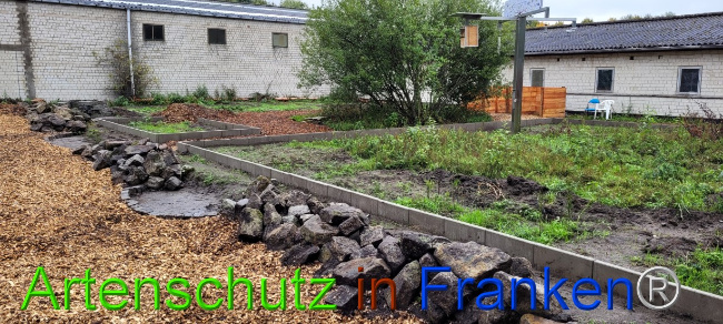 © Artenschutz in Franken® Bild zum Eintrag (1076518-160)