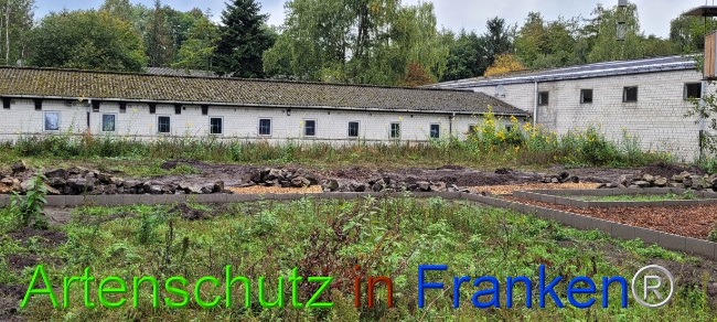 © Artenschutz in Franken® Bild zum Eintrag (1076519-160)