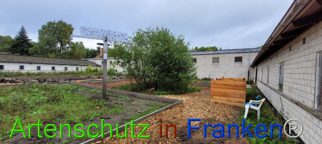 © Artenschutz in Franken® Bild zum Eintrag (1076521-160)