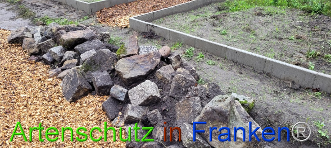 © Artenschutz in Franken® Bild zum Eintrag (1076523-160)