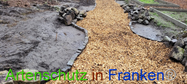 © Artenschutz in Franken® Bild zum Eintrag (1076524-160)
