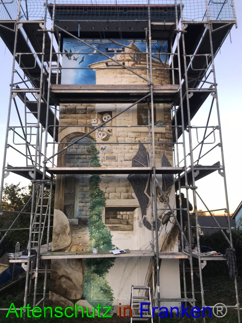 © Artenschutz in Franken® Bild zum Eintrag (1076547-160)