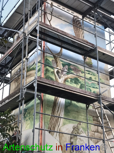 © Artenschutz in Franken® Bild zum Eintrag (1076554-160)