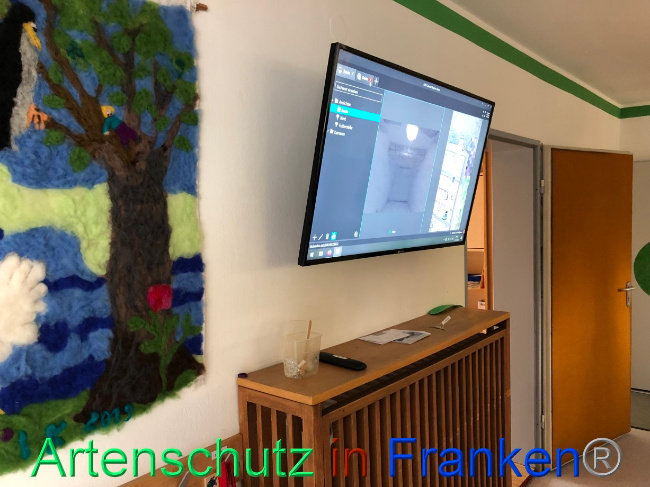 © Artenschutz in Franken® Bild zum Eintrag (1076923-160)