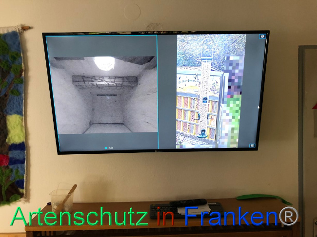 © Artenschutz in Franken® Bild zum Eintrag (1076926-160)