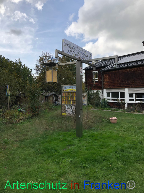 © Artenschutz in Franken® Bild zum Eintrag (1076927-160)