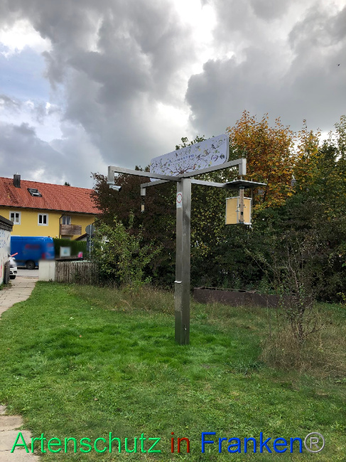 © Artenschutz in Franken® Bild zum Eintrag (1076928-160)