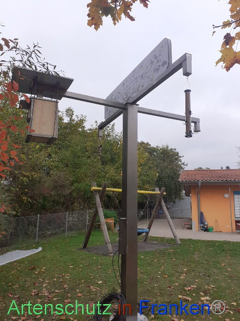 © Artenschutz in Franken® Bild zum Eintrag (1076936-160)