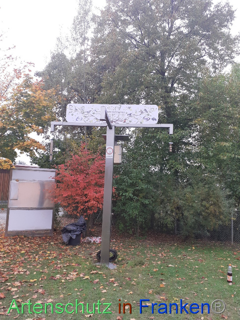 © Artenschutz in Franken® Bild zum Eintrag (1076937-160)