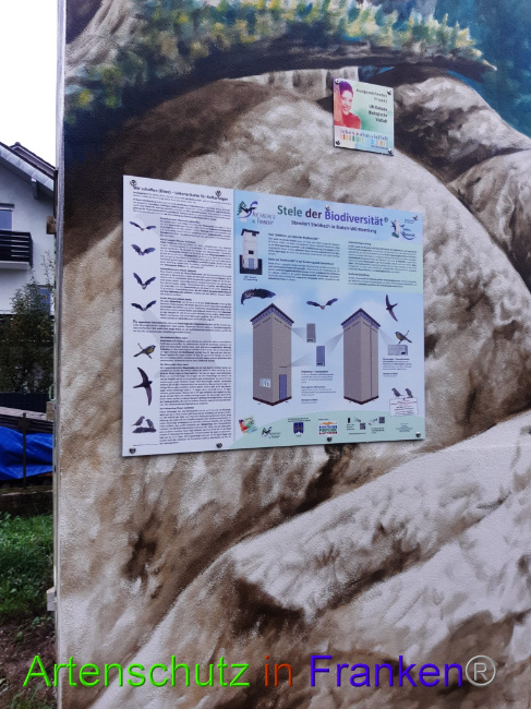 © Artenschutz in Franken® Bild zum Eintrag (1077099-160)