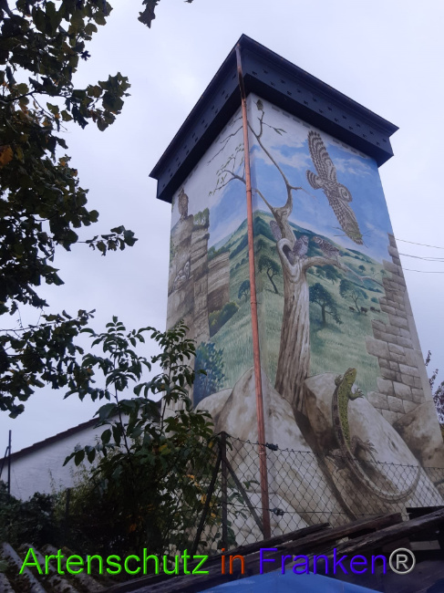 © Artenschutz in Franken® Bild zum Eintrag (1077103-160)
