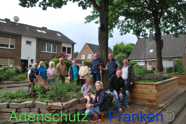 © Artenschutz in Franken® / Sonfeld Bild zum Eintrag (1077144-160)