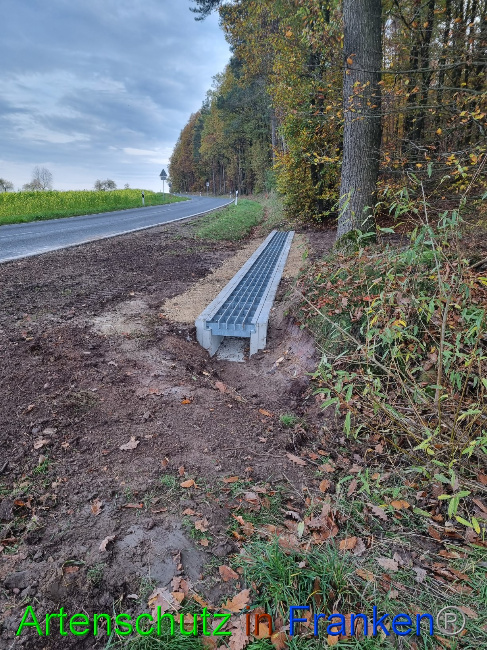 © Artenschutz in Franken® Bild zum Eintrag (1077457-160)