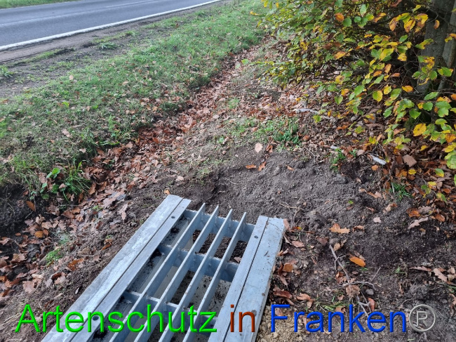 © Artenschutz in Franken® Bild zum Eintrag (1077458-160)