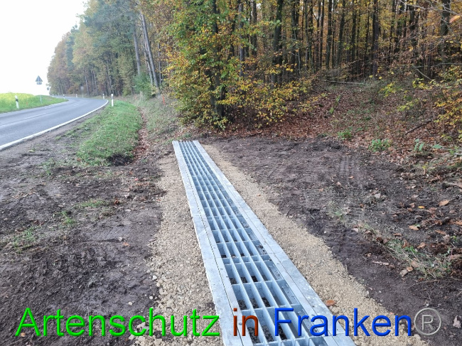 © Artenschutz in Franken® Bild zum Eintrag (1077469-160)