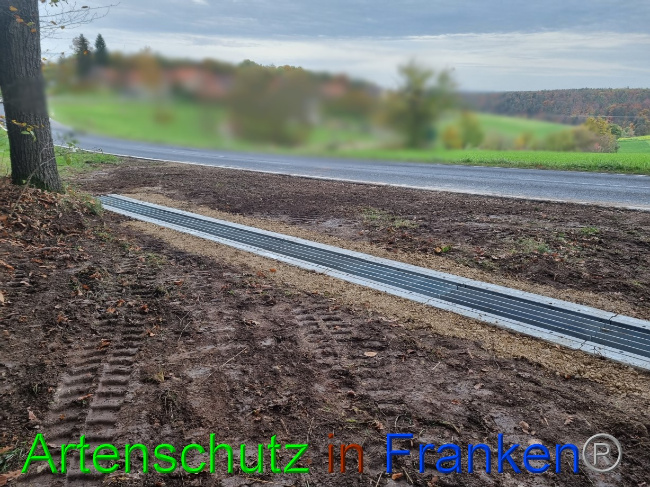 © Artenschutz in Franken® Bild zum Eintrag (1077470-160)