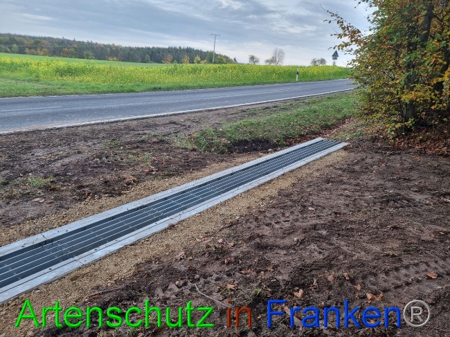 © Artenschutz in Franken® Bild zum Eintrag (1077476-160)