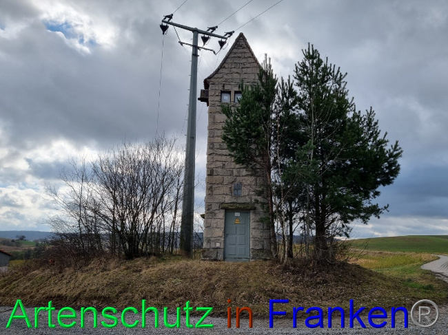 © Artenschutz in Franken® Bild zum Eintrag (1077604-160)